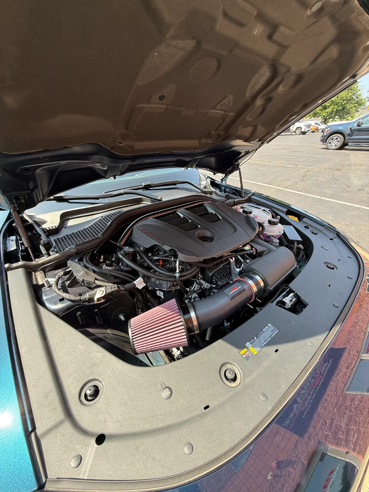 image2.webp