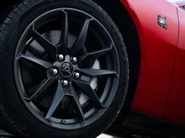 No Red Calipers?