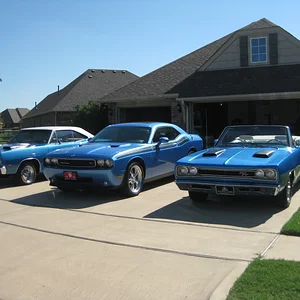 BlueBrothers.webp